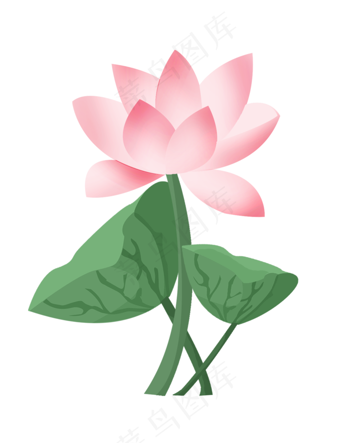 手绘荷花中国风