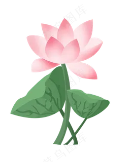 手绘荷花中国风