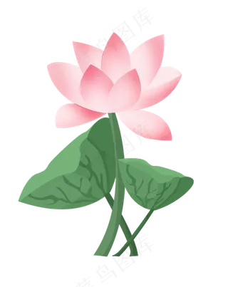 手绘荷花中国风