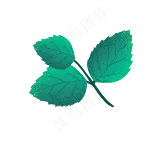 绿色茶叶,免抠元素