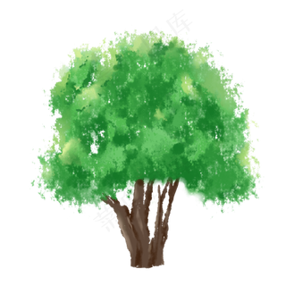 水彩大树绿色植物