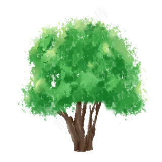 水彩大树绿色植物