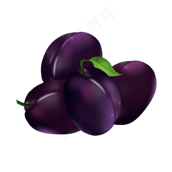 手绘水果西梅插画