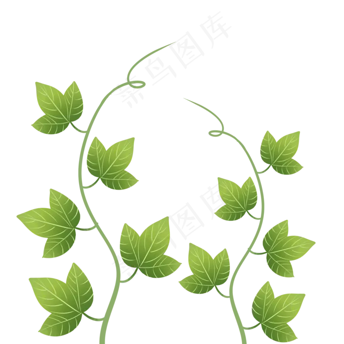 绿色植物叶手绘藤蔓子透明底免抠(2000X2000(DPI:299))psd模版下载