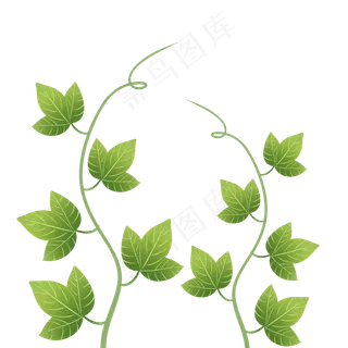 绿色植物叶手绘藤蔓子透明底免抠