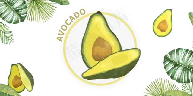 夏日装饰边框牛油果彩色