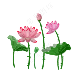 二十四节气之立夏套图之一