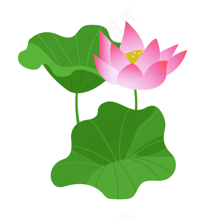 立体荷花装饰插画