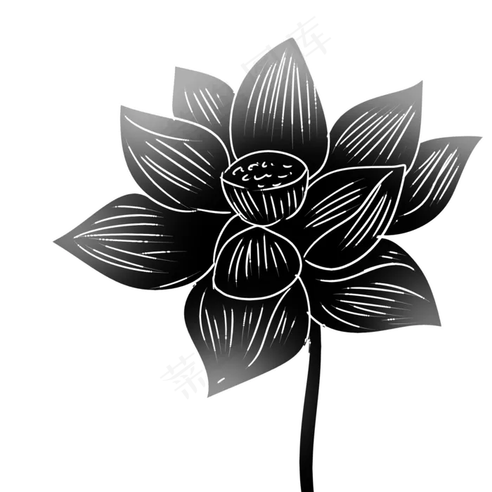 一朵黑色荷花(2000X2000(DPI:299))psd模版下载