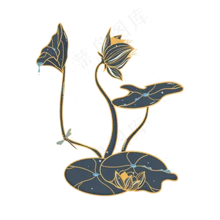 小暑大暑清凉荷花荷叶莲花