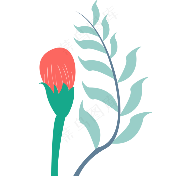 叶子绿色春季植物