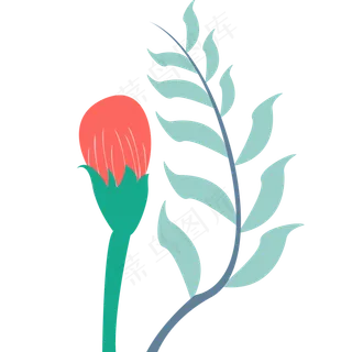 叶子绿色春季植物