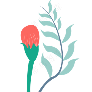 叶子绿色春季植物