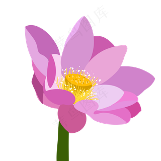 粉色立体荷花插图