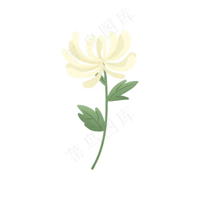 清明清明节祭拜祖先的一枝白色菊,免抠元素