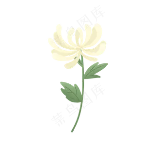 清明清明节祭拜祖先的一枝白色菊,免抠元素