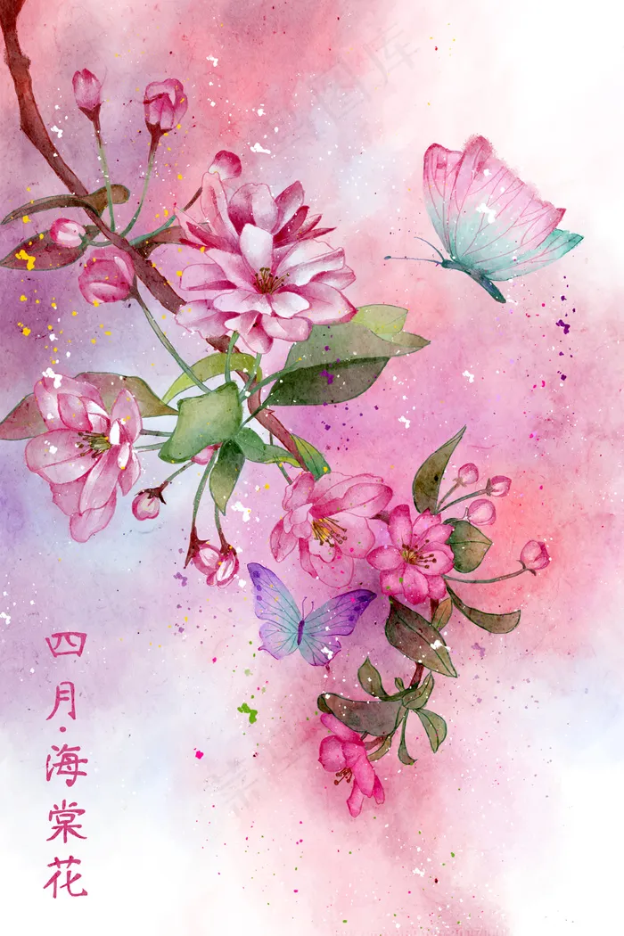 水彩花鸟画十二月花信之四月海棠花(3545*5315px 300 dpi )