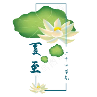 夏至荷叶荷花装饰