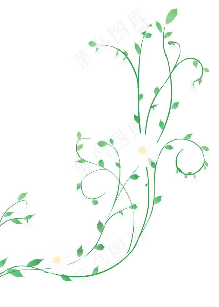 白色小花漂亮花藤