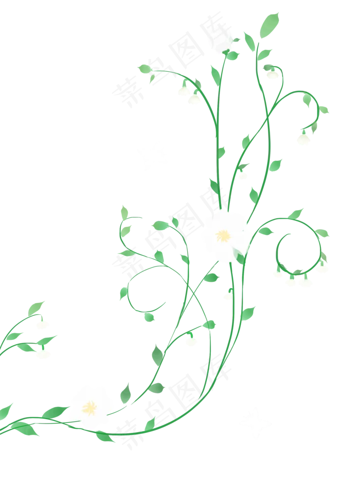 白色小花漂亮花藤