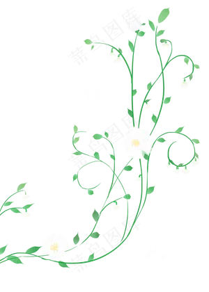 白色小花漂亮花藤