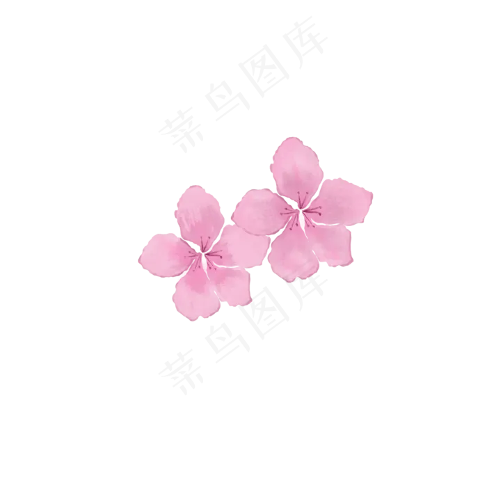 挑花水彩稿图片素材(2500*2500px 300 dpi )psd模版下载