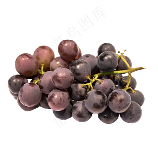 有机葡萄