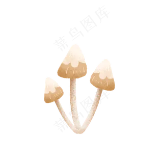 三个灰色的蘑菇