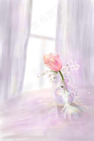 花鲜花小清新玫瑰花