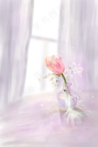 花鲜花小清新玫瑰花