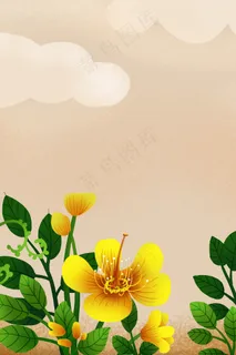 惊蛰清新花束psd分层banner