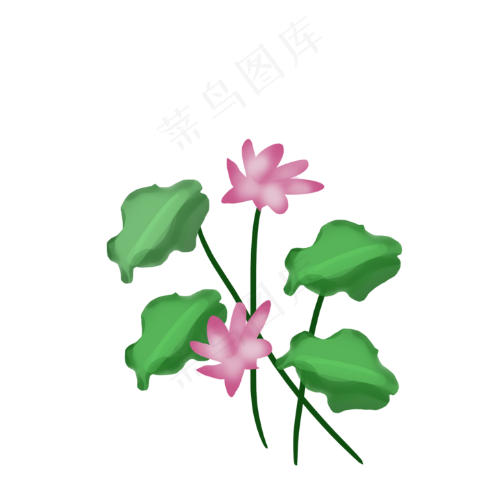 绿色的荷叶(2000*2000px 150 dpi )