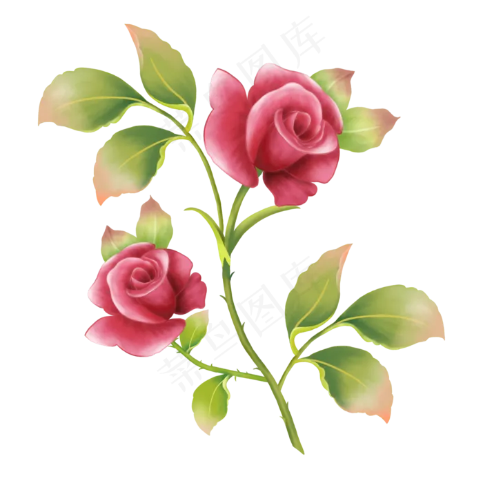 玫瑰花卉植物花朵(2000X2000(DPI:300))psd模版下载