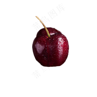 美味大樱桃免扣下载