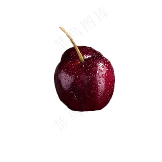 美味大樱桃免扣下载