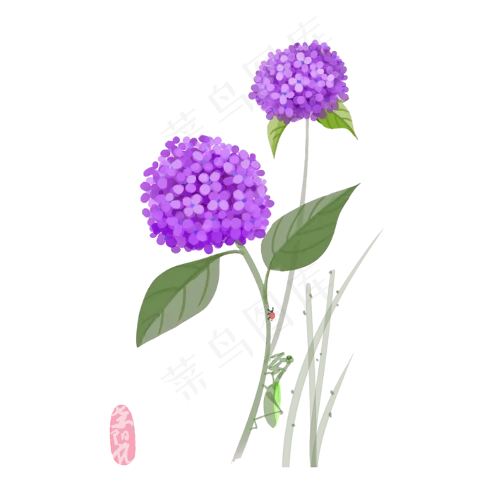 绣球花*花花球螳螂PNG春天(3000X3000(DPI:300))psd模版下载