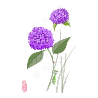 绣球花*花花球螳螂PNG春天