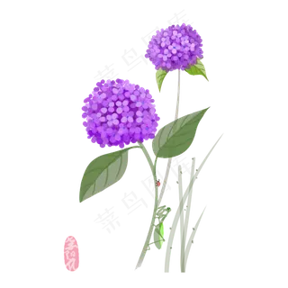 绣球花*花花球螳螂PNG春天
