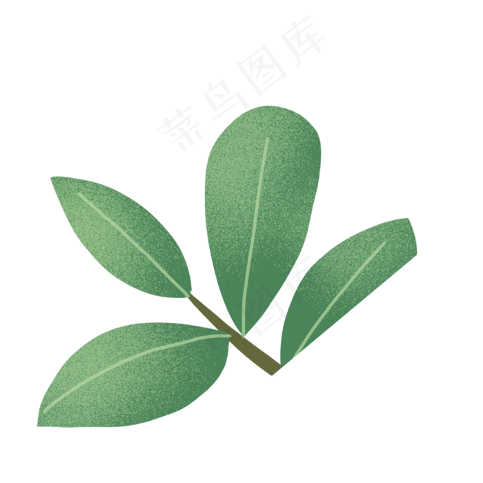 卡通植物绿叶下载(2000*2000px 300 dpi )psd模版下载