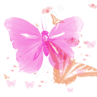彩色蝴蝶点缀设计素材