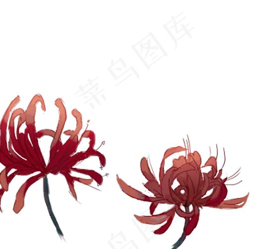 红色古风手绘彼岸花花草(543X500(DPI:300))psd模版下载