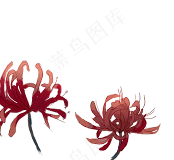 红色古风手绘彼岸花花草 红色古风手绘彼岸花花草