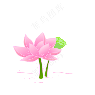 矢量唯美荷花