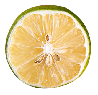 柠檬片水果