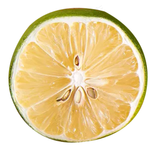 柠檬片水果