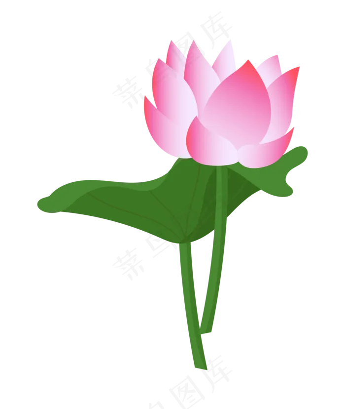 正在绽放的漂亮荷花(2000*2367px 300 dpi )ai矢量模版下载