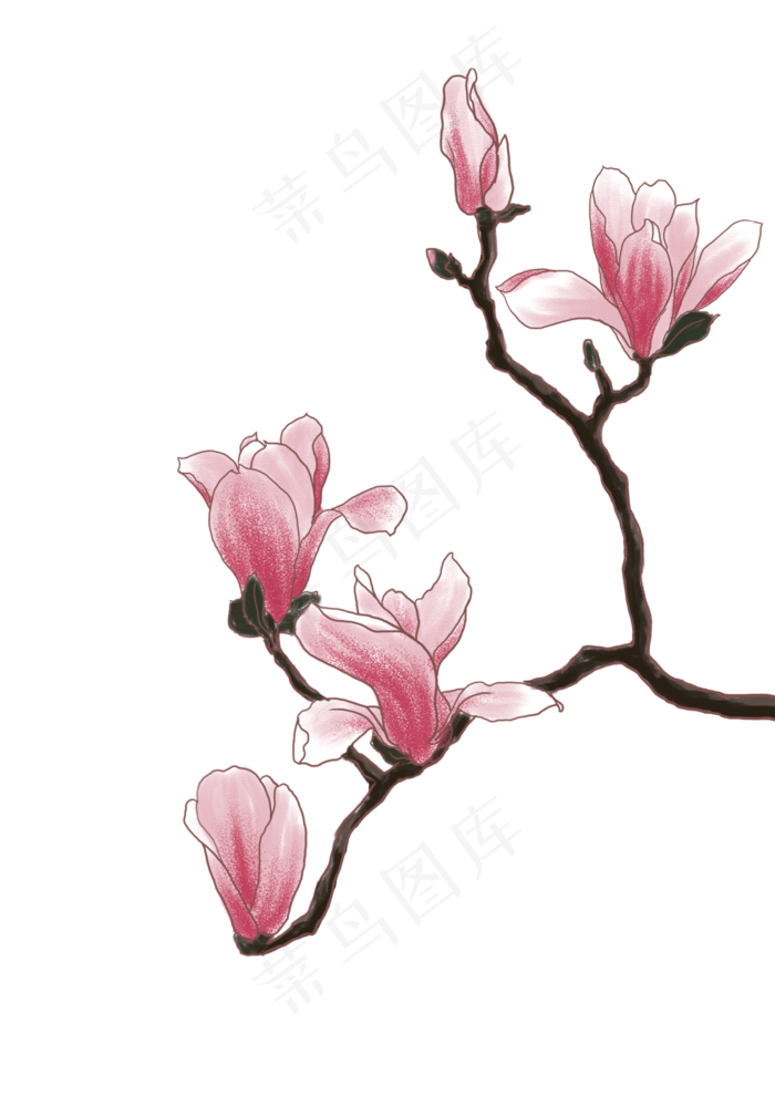 古风玉兰花粉色(2480X3508(DPI:300))psd模版下载