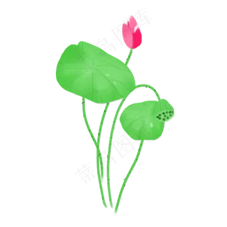 清明节荷花荷叶png素材