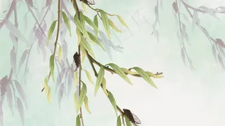 大暑处暑节气复古国潮秋季蝉鸣工笔国画