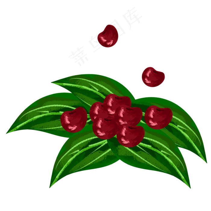 一大片茂盛的水果樱桃(2000X2000(DPI:300))psd模版下载